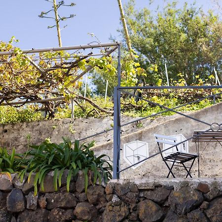 Ek Las Vistas Finca El Milagro لا أوروتافا المظهر الخارجي الصورة