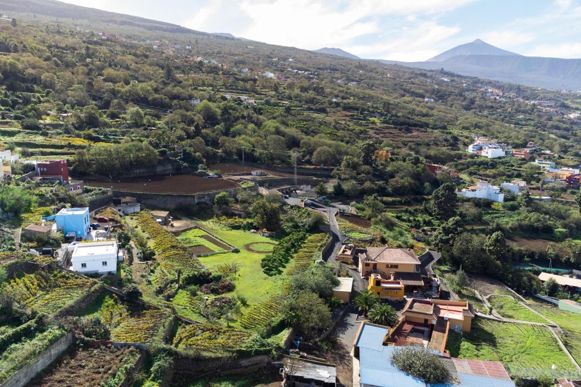 Ek Las Vistas Finca El Milagro لا أوروتافا المظهر الخارجي الصورة
