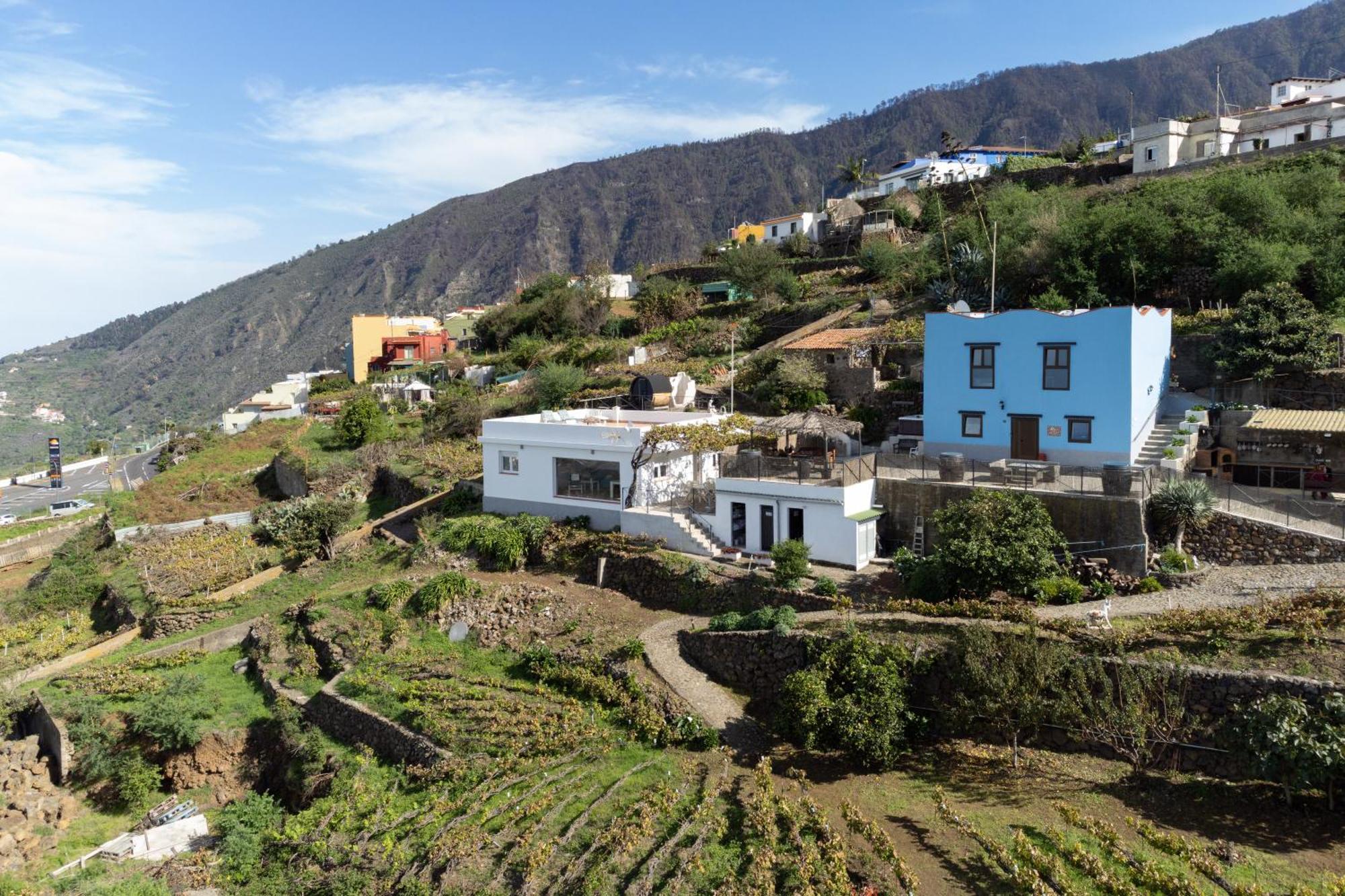 Ek Las Vistas Finca El Milagro لا أوروتافا المظهر الخارجي الصورة
