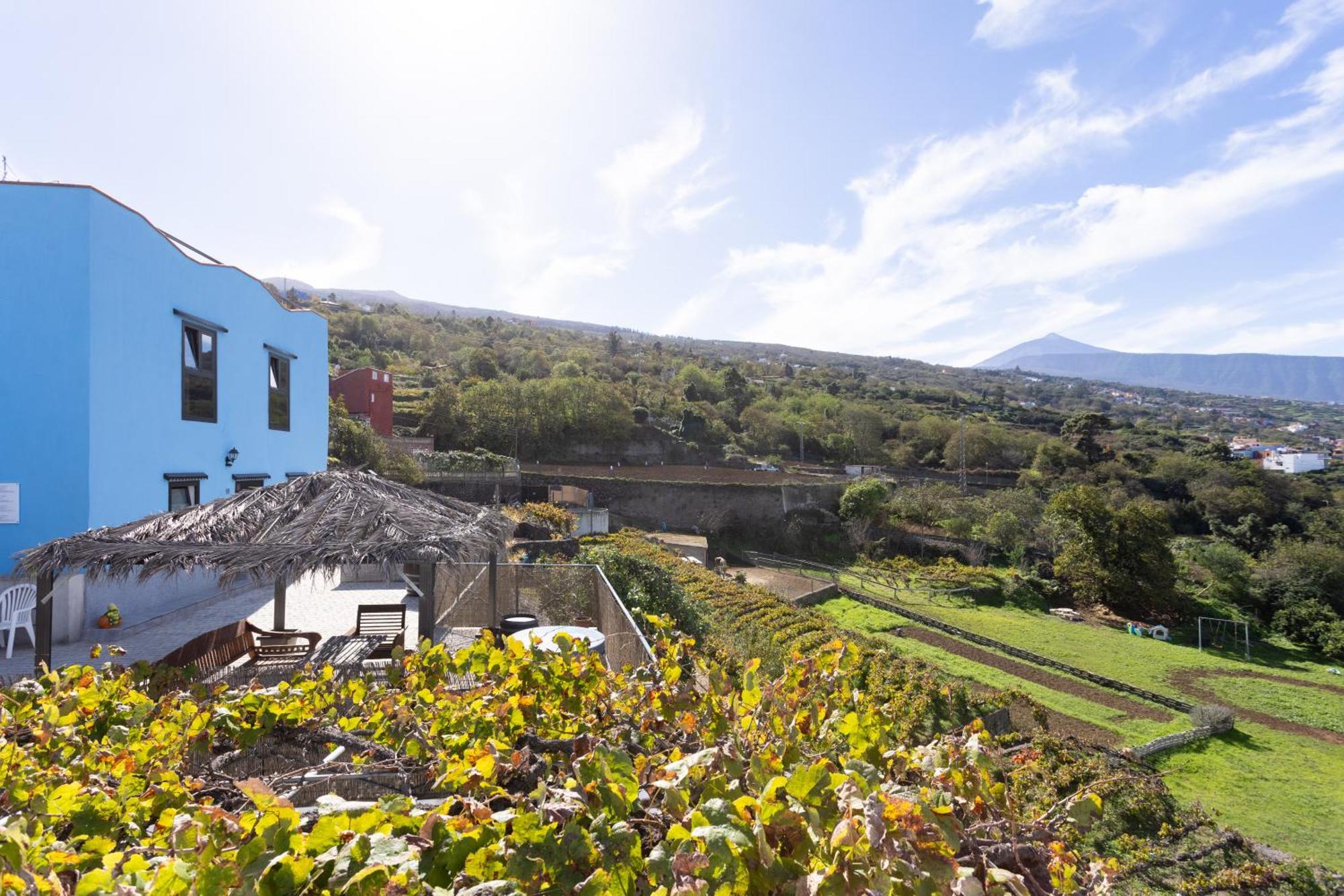 Ek Las Vistas Finca El Milagro لا أوروتافا المظهر الخارجي الصورة