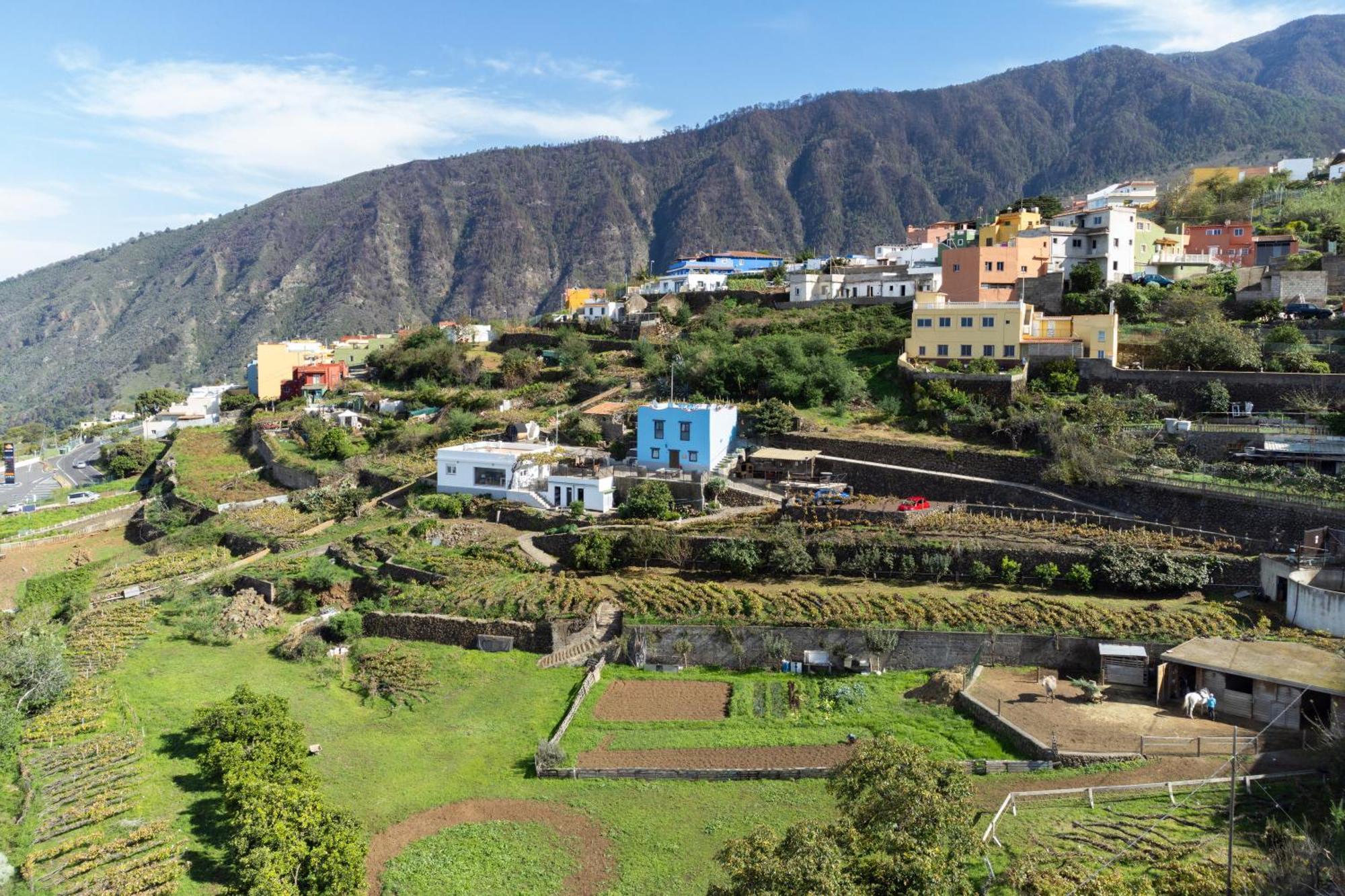 Ek Las Vistas Finca El Milagro لا أوروتافا المظهر الخارجي الصورة