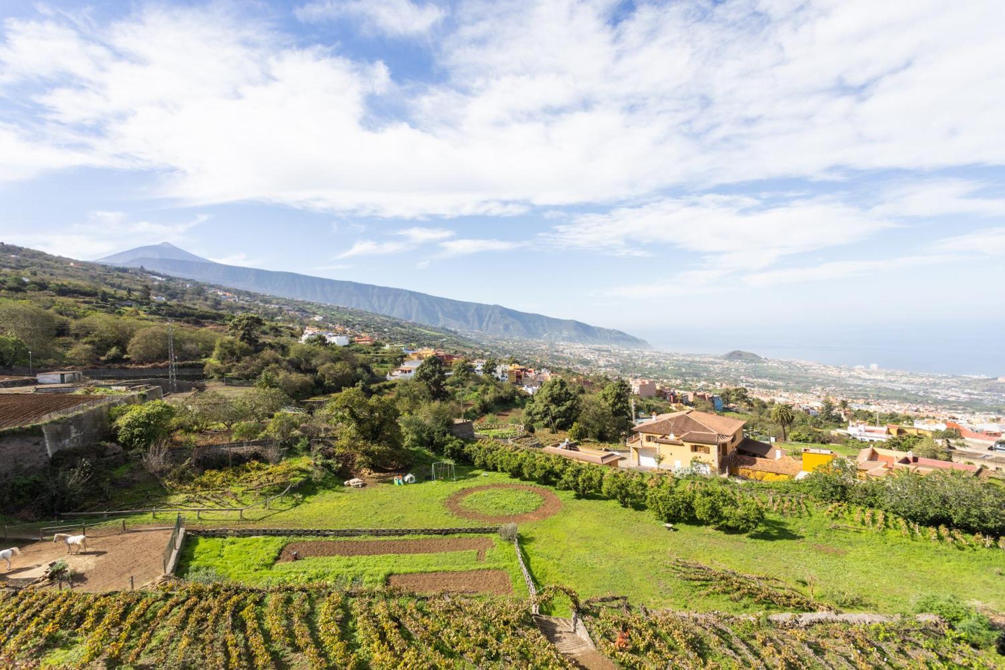 Ek Las Vistas Finca El Milagro لا أوروتافا المظهر الخارجي الصورة