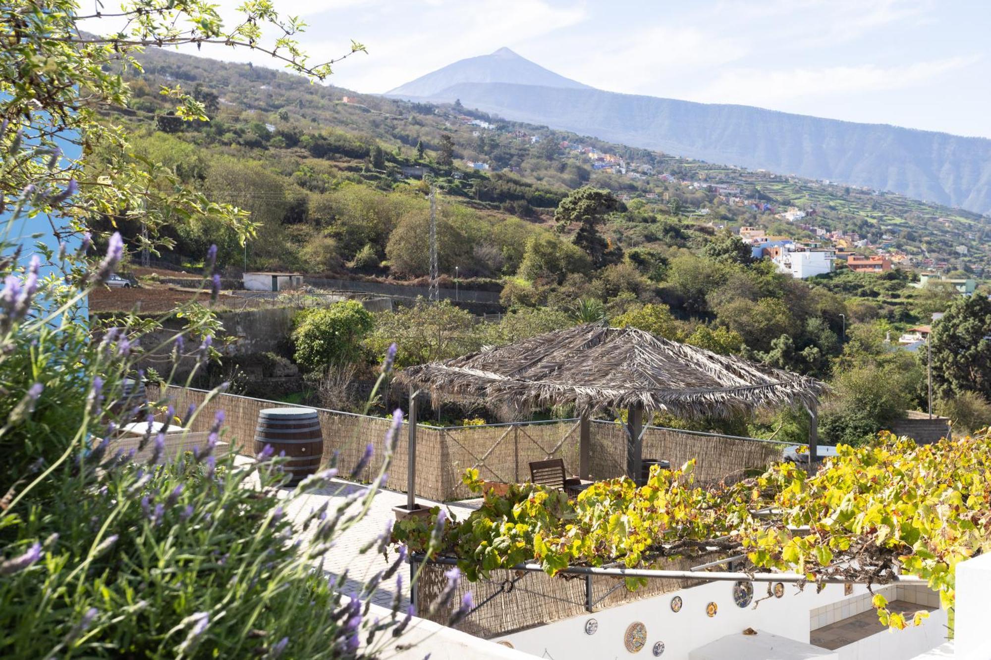 Ek Las Vistas Finca El Milagro لا أوروتافا المظهر الخارجي الصورة